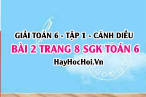 Giải bài 2 trang 8 Toán 6 Tập 1 SGK Cánh Diều